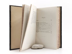 Goldziher, Ignaz. Der Mythos bei den Hebräern und seine geschichtliche Entwicklung.