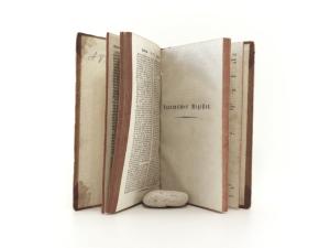 Lippold, G. H. C. und C. Ph. Funke (Hrsg.). Suplementband zum Neuen Natur- und Kunstlexicon, enthaltend Berichtigungen und Nachträge, einen Linneischen Nomenclator und ein deutsches Synonymen-Registe...