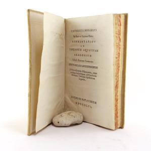 Bonamici, Castruccii. De Rebus ad Velitras Gestis Commentarius ad Trojanum Aquavivam Aragonium.