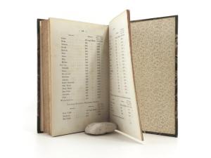 J. D. (Doblhoff-Dier, Josef Freiherr von). Tagebuchblätter von einer Reise nach Ostasien 1873 - 1874. I. Band (von Triest bis &quote;Point de Galle&quote; und Bombay) und III. Band Japan.- Quer über den Stillen...