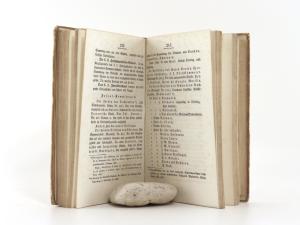 Schmidl, A. Adolf Wien. Die Kaiserstadt und ihre nächsten Umgebungen mit besonderer Berücksichtigung der wissenschaftlichen Anstalten und Sammlungen, durchaus nach Original-Mittheilungen.