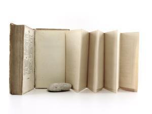 Schmidl, A. Adolf Wien. Die Kaiserstadt und ihre nächsten Umgebungen mit besonderer Berücksichtigung der wissenschaftlichen Anstalten und Sammlungen, durchaus nach Original-Mittheilungen.