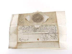 (Wegelin, Georg Heinrich). Spicilegium observationum ad capitulationem augustissimi imperatoris Caroli VI.: Cuius instituta collatione cum capitulatione Josephina, commentario Nitschiano haud ita prid...