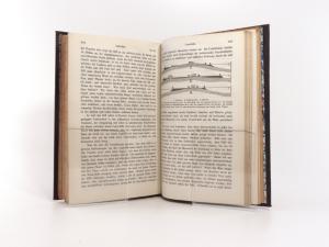 Darwin, Charles. Reise eines Naturforschers um die Welt.