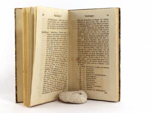 Schönfeld, J. F. v. Die alte Hilfe der Böhmen und Mährer, wodurch sie sich gewöhnlich die Leiden und den Schaden eines Kieges wieder zu ersetzen wußten.