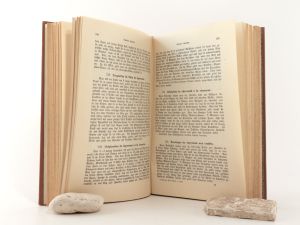 Malortie, Ernst von. Feine Küche. Anweisung zur Bereitung der vorzüglichsten Gerichte für die Gesellschaft.