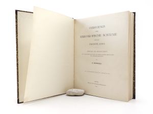 Bütschli, O. (Otto). Untersuchungen über mikroskopische Schäume und das Protoplasma.