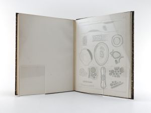 Bütschli, O. (Otto). Untersuchungen über mikroskopische Schäume und das Protoplasma.