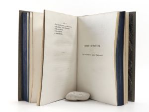 Weschel, Leopold Matthias. Die Leopoldstadt bey Wien.