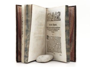 Stubenrauch, Franz Xaver Anton von. Anfangsgründe der Forstwissenschaft.