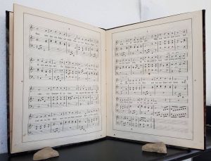 Marchesi, Salvatore C. Abenteuer und Erlebnisse des kleinen Hans.