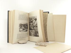 Stanley, Henry M. Im dunkelsten Afrika. Aufsuchung, Rettung und Rückzug Emin Pascha's, Gouverneurs der Aequatorialprovinz. Erster und Zweiter Band.