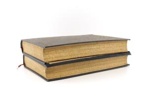 Stanley, Henry M. Im dunkelsten Afrika. Aufsuchung, Rettung und Rückzug Emin Pascha's, Gouverneurs der Aequatorialprovinz. Erster und Zweiter Band.
