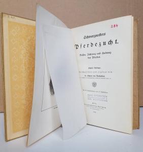 Schwarznecker - Simon von Rathusius. Schwarneckers Pferdezucht. Rassen, Züchtung und Haltung des Pferdes.
