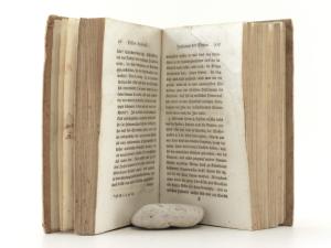 Hufeland, Christoph Wilhelm. Bemerkungen über die natürlichen und geimpften Blattern zu Weimar im Jahr 1788.