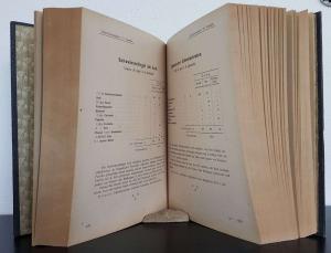 Soulié, Friedrich; E. Bedollierre. Die Zauberlaterne, oder Geschichte Napoleons, im Volkston von zwei Soldaten erzählt
