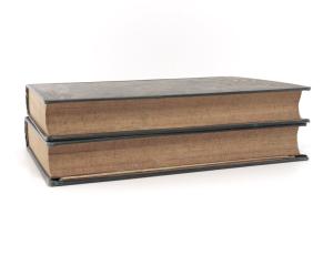 Stanley, Henry M. Im dunkelsten Afrika. Aufsuchung, Rettung und Rückzug Emin Pascha's, Gouverneurs der Aequatorialprovinz. Erster und Zweiter Band.