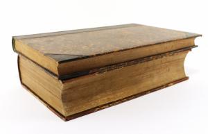 Nyman, Carol Frider. Conspectus florae europaeae, seu Enumeratio methodica plantarum phanerogamarum Europae indigenarum, indicatio distributionis geographicae singularum etc.