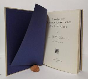 Antonius, Otto. Grundzüge einer Stammesgeschichte der Haustiere.