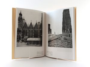 Göbel, J. Stephansdom 1945. Eine Bilderreihe aus dem Archiv des Kirchenmeisteramtes.