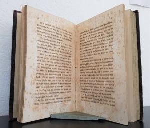 Moleschott, Jac. Der Kreislauf des Lebens. Physiologische Antworten auf Liebig's Chemische Briefe.