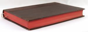 Woltmann, Ludwig. Der historische Materialismus. Darstellung und Kritik der Marxistischen Weltanschauung.