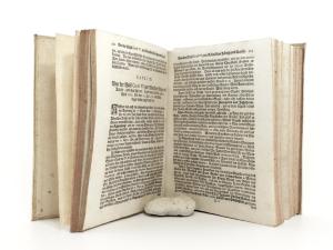 Kurtze, doch Vollkommene Nachricht von der Wahl und Crönung eines Röm. Königs und Kaysers: worinnen von allen Curialien, Ceremonien und Geprängen, so man zufolge der guldnen Bulle Carls des IV. un...