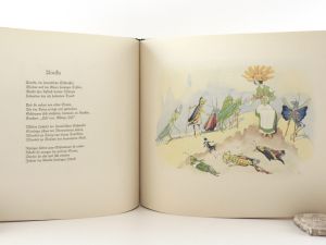 Kreidolf, Ernst. Alpenblumenmärchen.