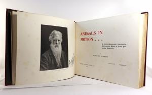 Muybridge, E. Animals in motion. An electro-photographic investigation of consecutive phases of animal progressive movements.