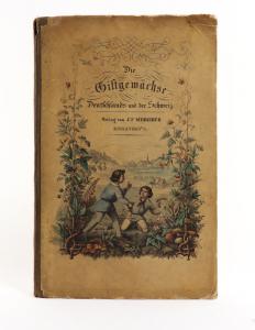 Hochstetter, Ch. F. Die Giftgewächse Deutschlands und der Schweiz, in lithographirten und colorirten Abbildungen mit erläuterndem Text. Zum Gebrauch in Volksschulen, Realanstalten und Gymnasien. Wie...