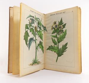 Hochstetter, Ch. F. Die Giftgewächse Deutschlands und der Schweiz, in lithographirten und colorirten Abbildungen mit erläuterndem Text. Zum Gebrauch in Volksschulen, Realanstalten und Gymnasien. Wie...