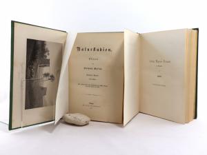 Masius, Hermann. Naturstudien. Skizzen von Hermann Masius.