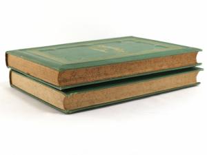 Masius, Hermann. Naturstudien. Skizzen von Hermann Masius.