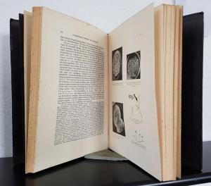 Niethammer, Anneliese. Die mikroskopischen Boden-Pilze.