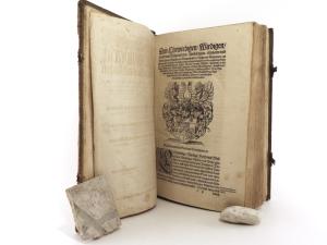 Diarivm Historicvm, Das ist: Ein besondere tägliche Hauß vnd Kirchen Chronica