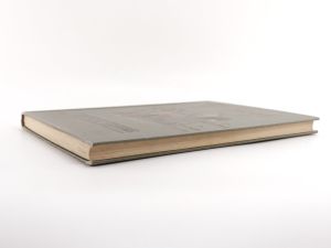 Wrangel, C. G. Das Luxus-Fuhrwerk.