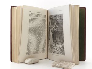 Wiese, J (Hrsg.). Gustav Nachtigal. (Ein deutsches Forscherleben im dunklen Erdteil)