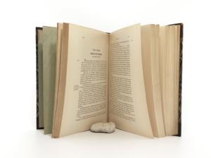 Branko, Franz von. Geschichte des k.k. Infanterie-Regimentes Nr. 44.
