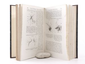 Helmholtz, Hermann von. Die Lehre von den Tonempfindungen als physiologische Grundlage für die Theorie der Musik.