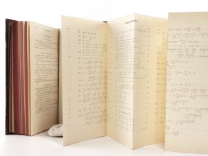 Boltzmann, Ludwig. Vorlesungen über Maxwells Theorie der Elektricität und des Lichtes.