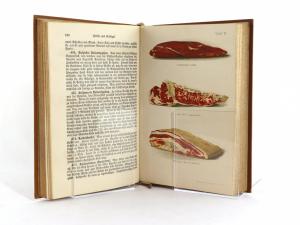 Scheibler, Sophie Wilhelmine. Allgemeines Deutsches Kochbuch für alle Stände.