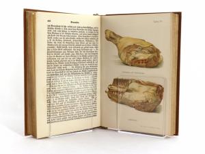 Scheibler, Sophie Wilhelmine. Allgemeines Deutsches Kochbuch für alle Stände.