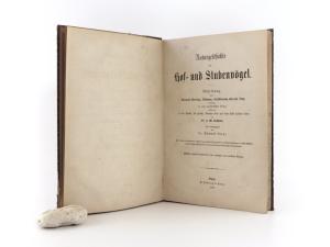 Bechstein, J. M., Edmund Berge (Hrsg.). Naturgeschichte der Hof- und Stubenvögel.