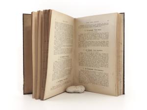 Bechstein, J. M., Edmund Berge (Hrsg.). Naturgeschichte der Hof- und Stubenvögel.