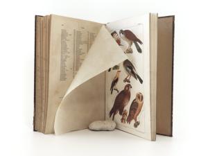 Bechstein, J. M., Edmund Berge (Hrsg.). Naturgeschichte der Hof- und Stubenvögel.