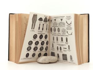 Schreiber, M. (Hrsg.). Heeresverwaltungs-Taschenbuch. Hand- und Nachschlagebuch über Verwaltungsangelegenheiten für den deutschen Soldaten und Heeresbeamten. 1942/43