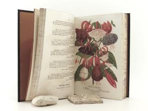 Neubert, Wilhelm (Hrsg.). Deutsches Magazin für Garten- und Blumenkunde.