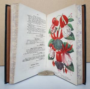 Neubert, Wilhelm (Hrsg. u. Red.). Deutsches Magazin für Garten- und Blumenkunde.