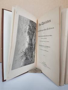 Mojsvár, August Mojsisovics von. Das Thierleben der österreichisch-ungarischen Tiefebenen.