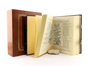 Petri Andreae Matthioli Senensis, medici, Compendium de plantis omnibus, vna` cum earum iconibus, de quibus scripsit suis in commentariis in Dioscoridem editis, in eorum studiosorum commodum, atquevsu...